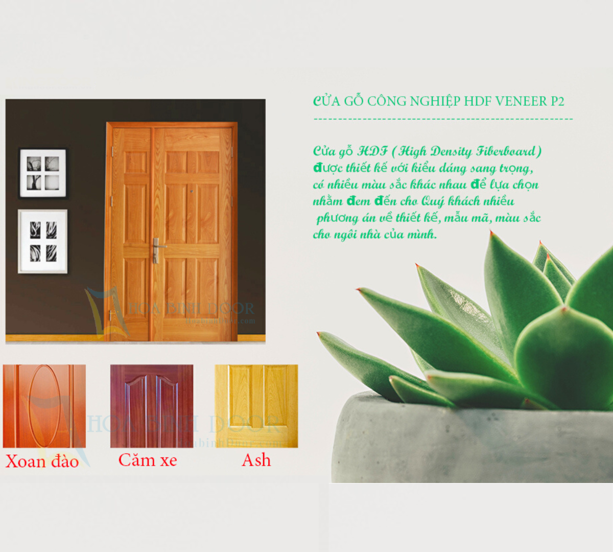 Cửa gỗ HDF veneer tại Quận 1