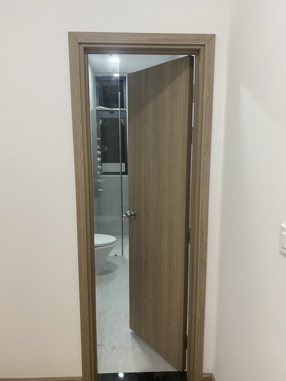 Mẫu cửa nhựa Composite phủ da